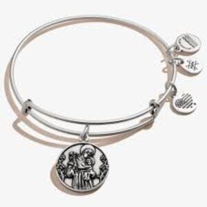 Alex and Ani Item model number ‏ : ‎ A20EBINT19SS